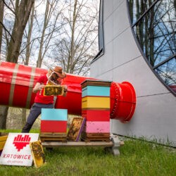 Basen Zadole
