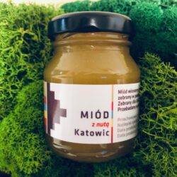 Pasieki w Katowicach