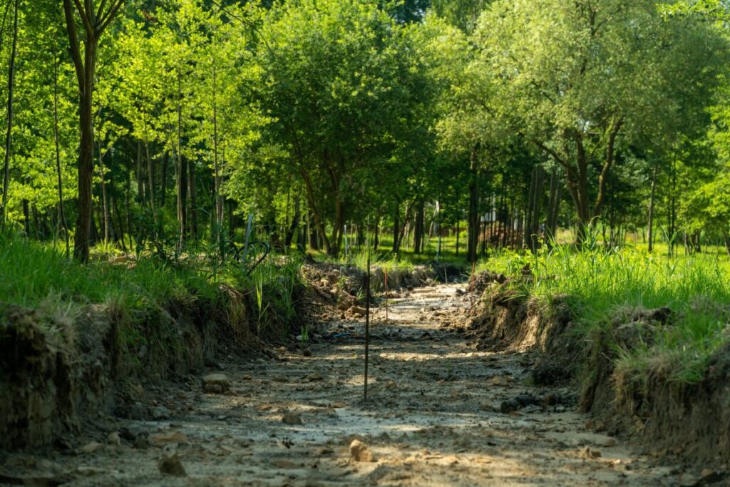 Nowy park przy ul. Wantuły