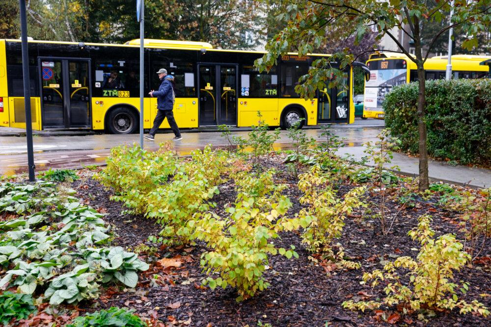 Katowice ogłosiły przetargi na 10 parków kieszonkowych